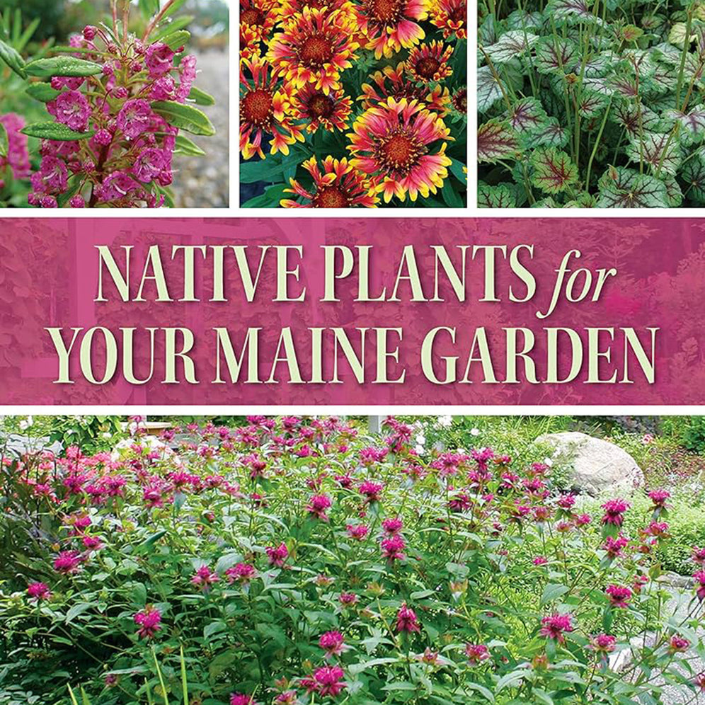 Maine Lovers Page 3 Archipelago The Island Institute Store