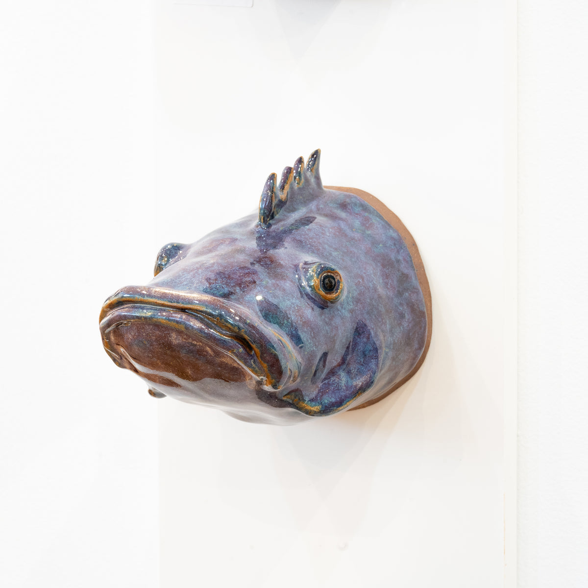 Fish Head / Claire Archipelago The Island Institute Store