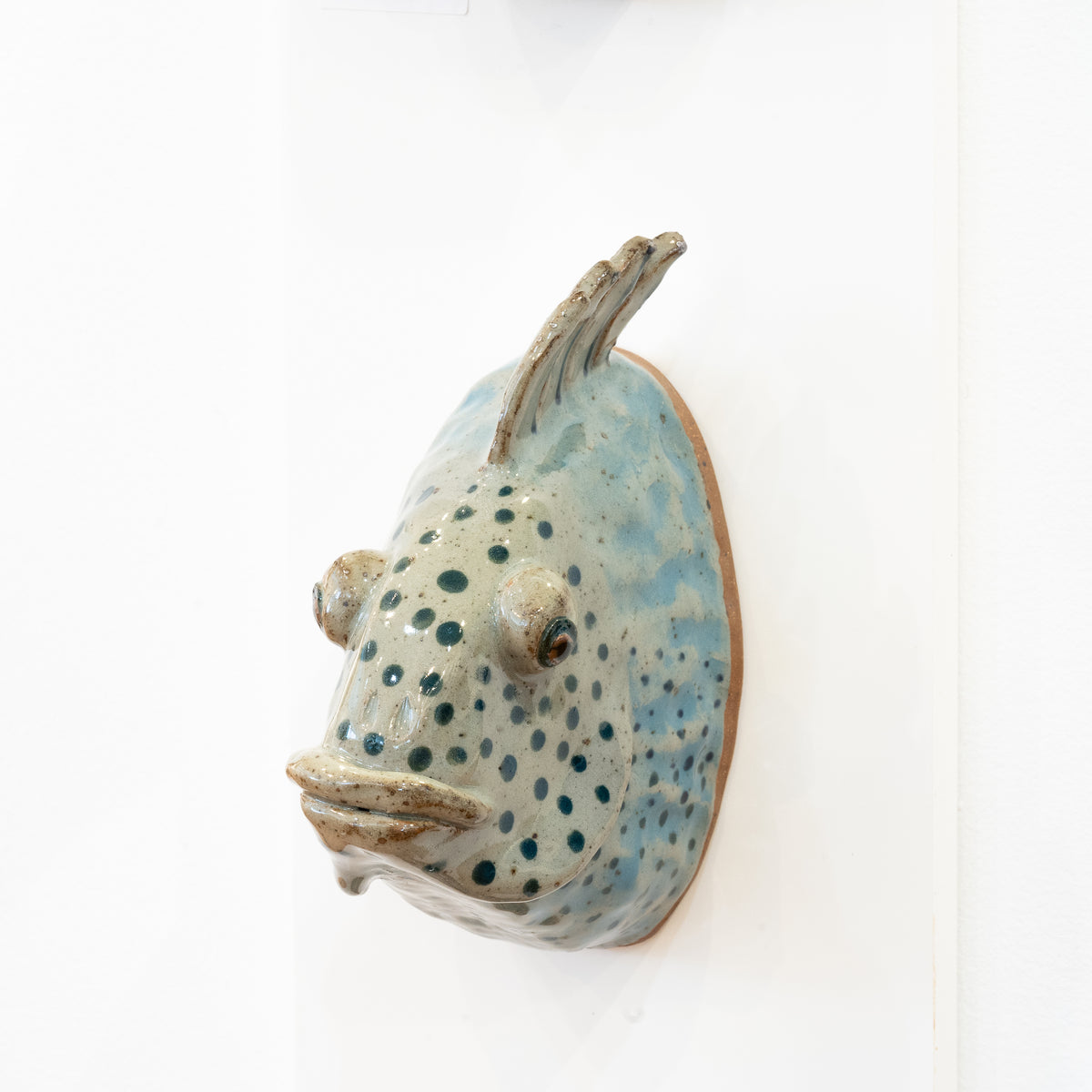 Ceramic Fish Head / Robin Archipelago The Island Institute Store